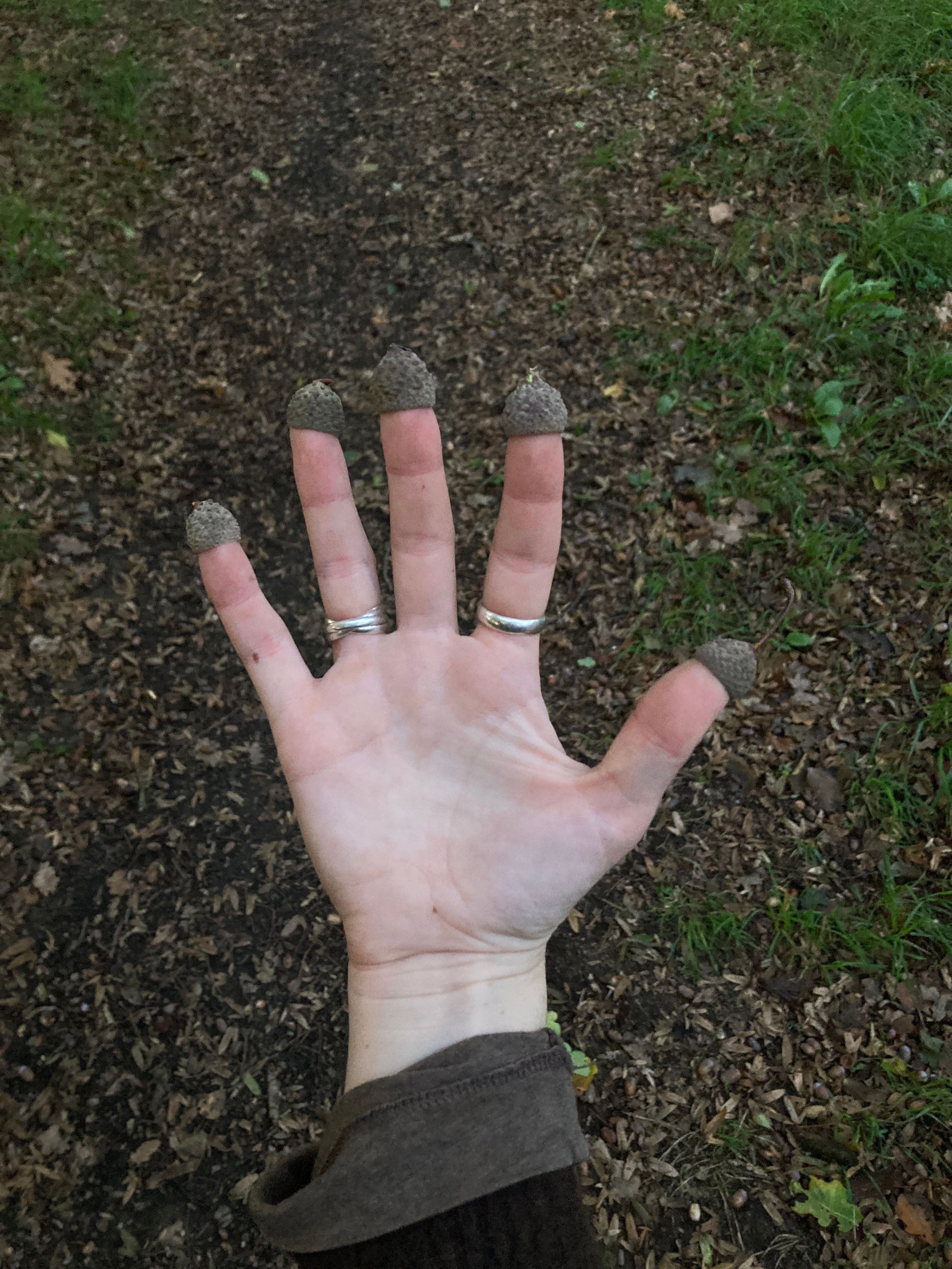 A hand with acorn caps on each fingertip and thumb, wearing two rings, against a leafy forest floor.