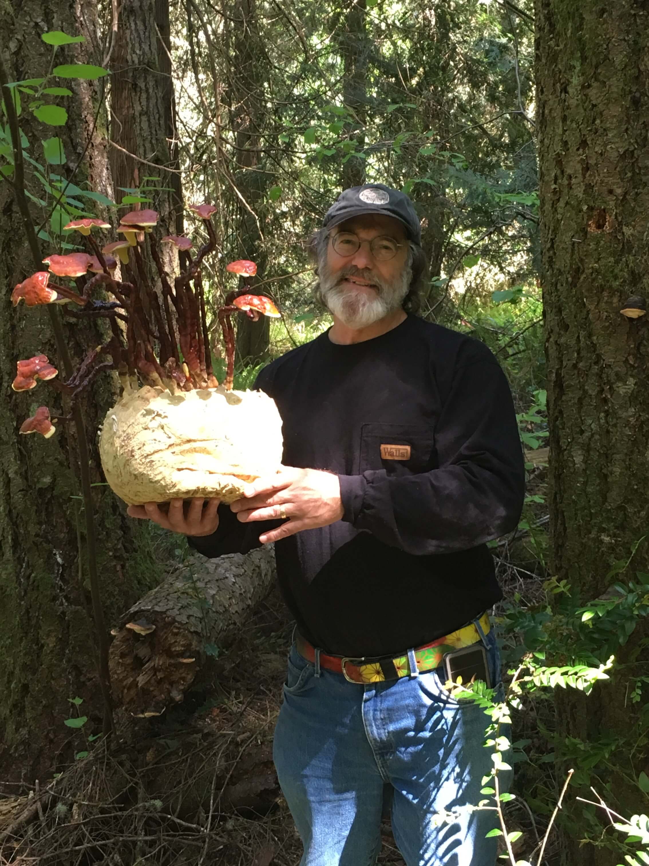 A smiling man in a forest holds a large mushroom formation with a light base and many red-capped stalks.