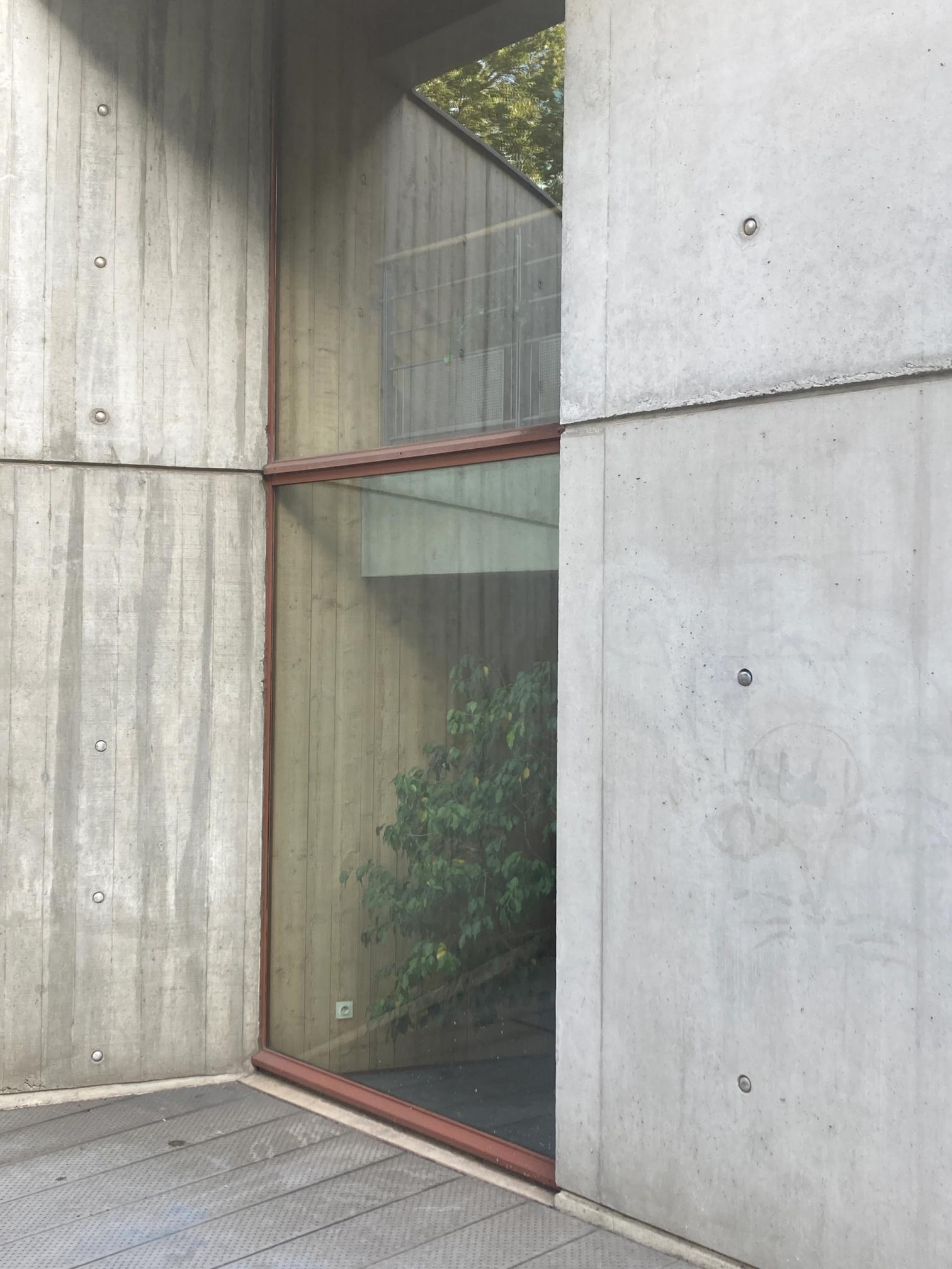 Textured concrete building with a large glass window revealing an indoor plant and reflecting outdoor trees, next to a wooden deck.