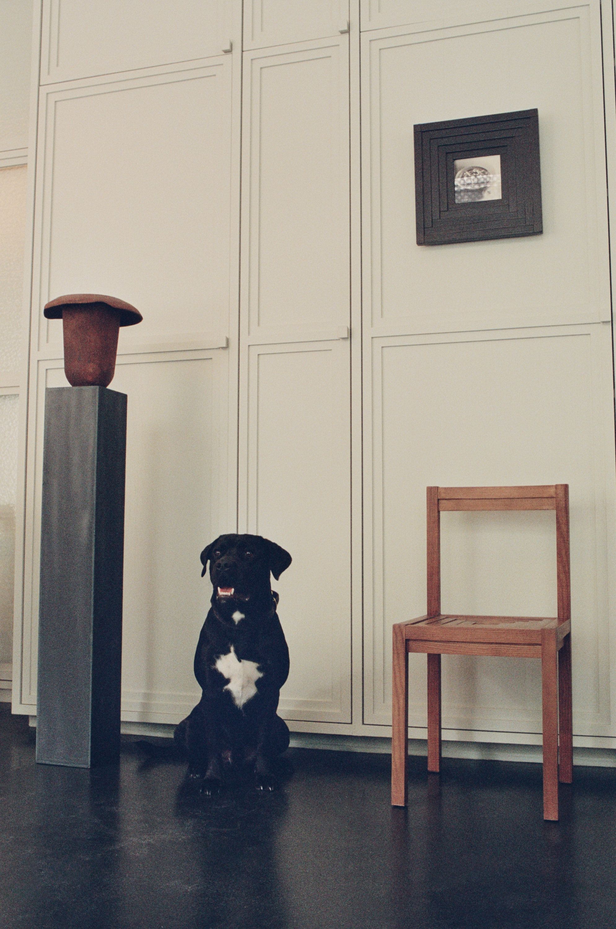 A black dog sits on a dark floor between a mushroom-shaped sculpture on a pedestal and a wooden chair, against a light paneled wall with a framed picture.