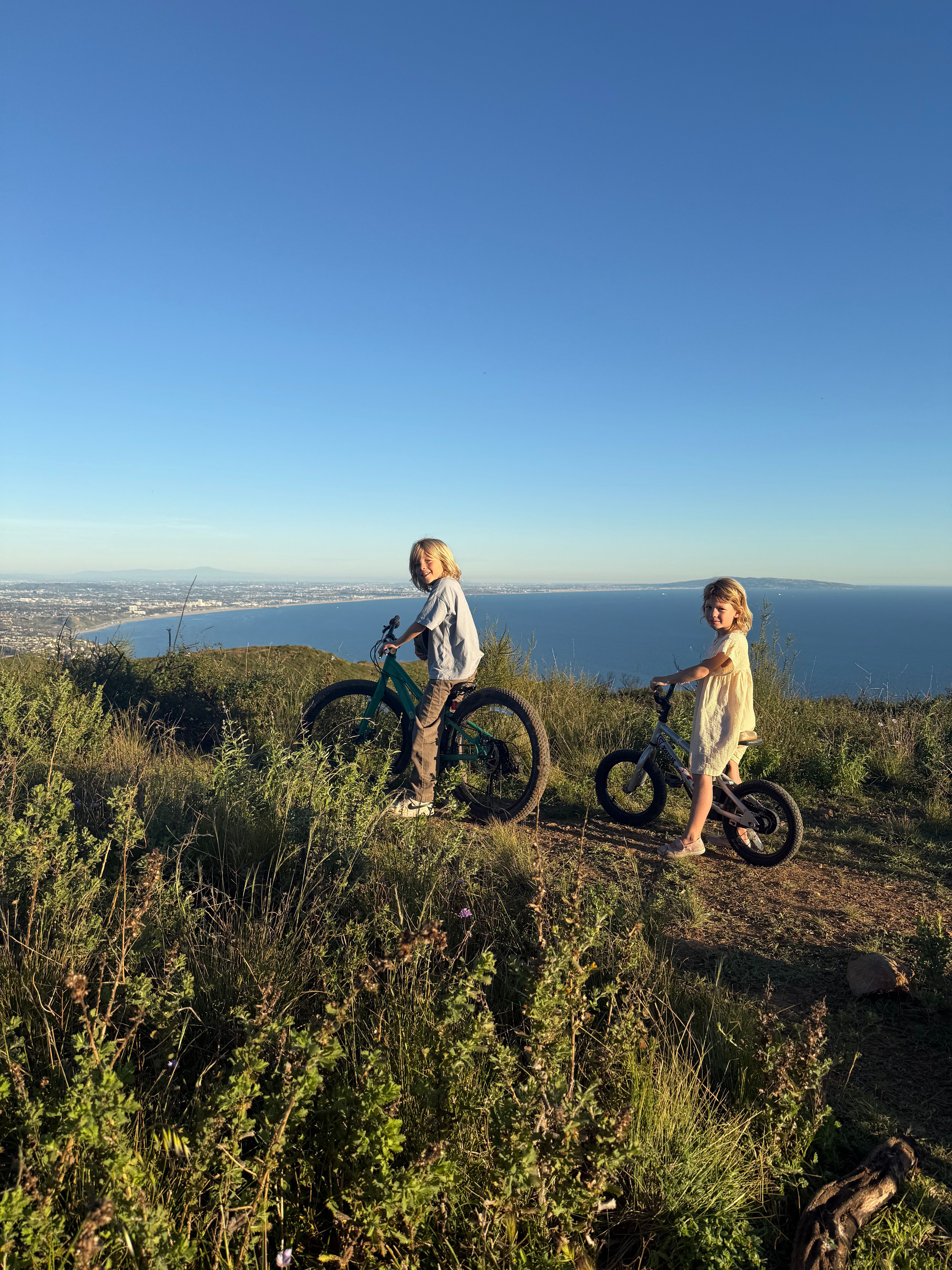 Two children with bikes on a grassy hill overlooking the ocean and a city.