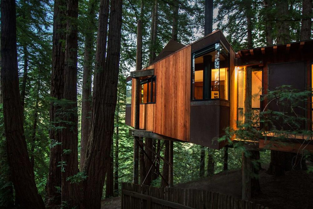 A contemporary wood-clad treehouse with warm interior light nestled among tall trees.