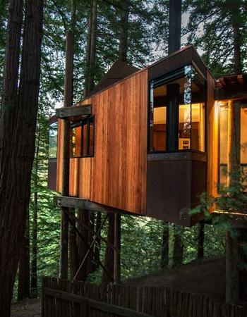 A contemporary wood-clad treehouse with warm interior light nestled among tall trees.