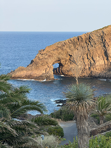 Natural rock arch over the ocean, framed by tropical plants.