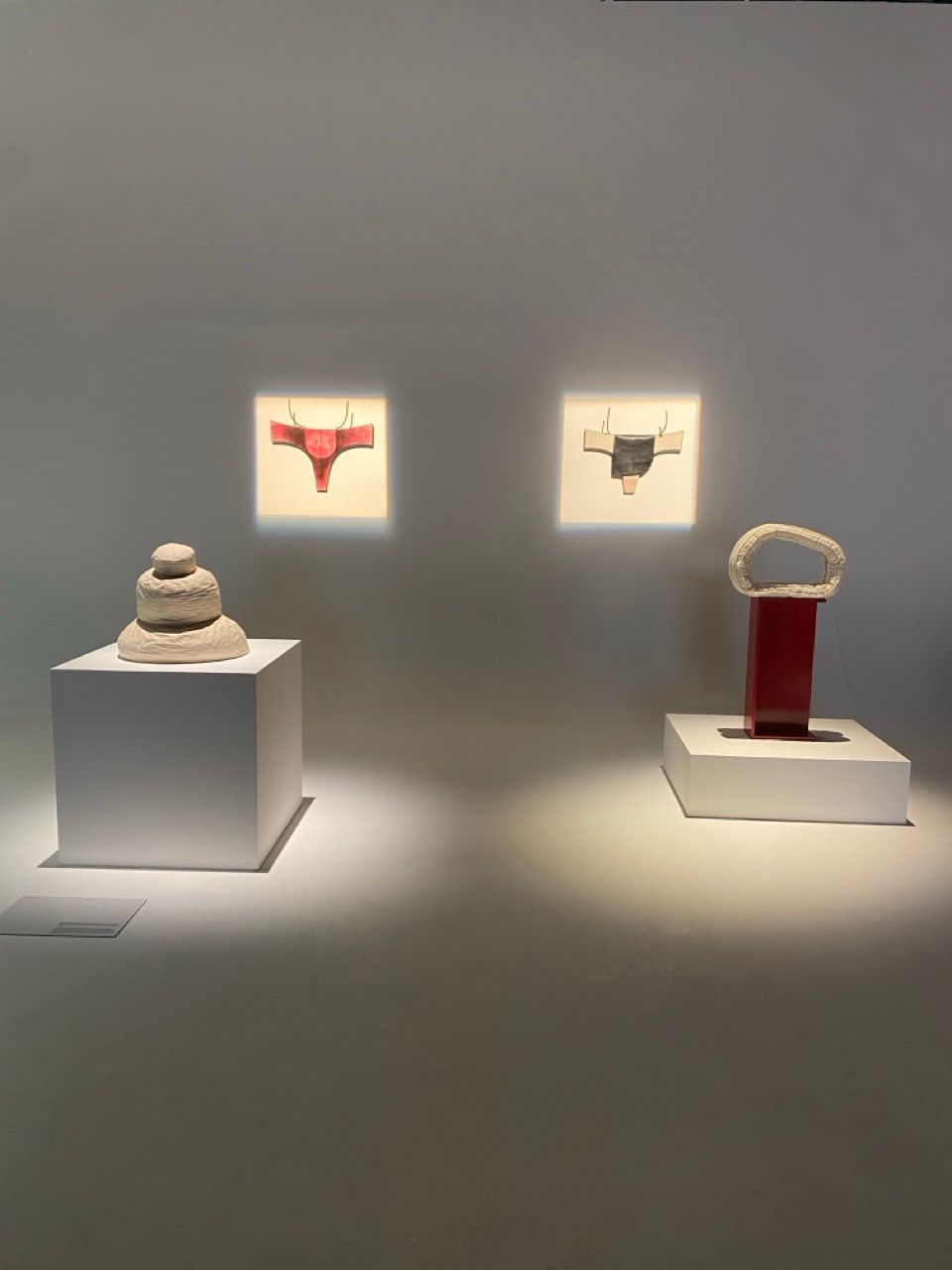 Art exhibition with two illuminated thong-like wall hangings, a stacked organic sculpture, and a red pillar sculpture with a white loop, all on white pedestals.