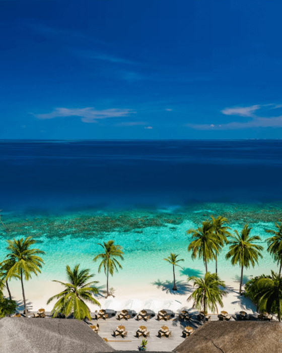 Aerial view of a white sand beach with palm trees, turquoise shallow water, deep blue ocean, and beach chairs under a clear blue sky.