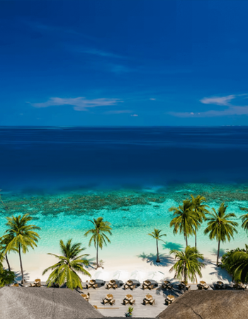 Aerial view of a white sand beach with palm trees, turquoise shallow water, deep blue ocean, and beach chairs under a clear blue sky.