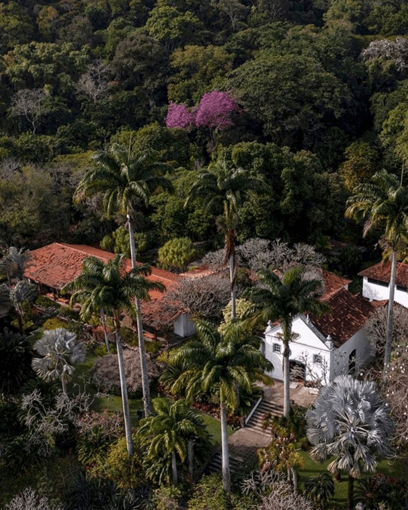 Sítio Roberto Burle Marx, Chosen by Semaine Tastemaker Francisco Costa