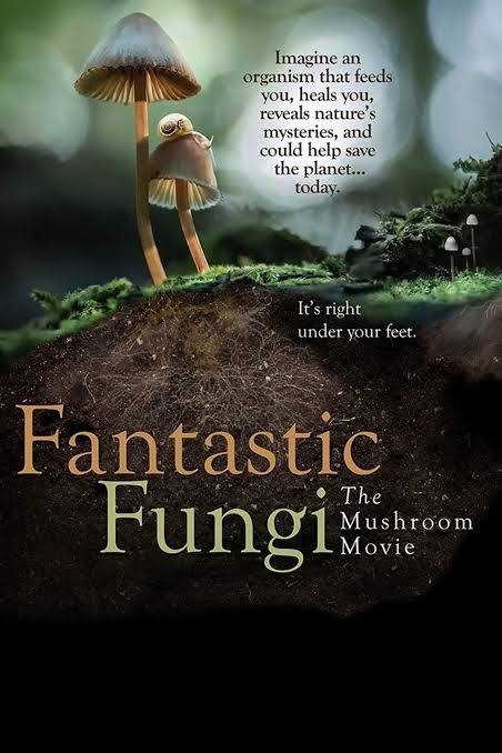 Fantastic Fungi directed by  Louie Schwartzberg, chosen by Tastemaker Paul Stamets, for Semaine.