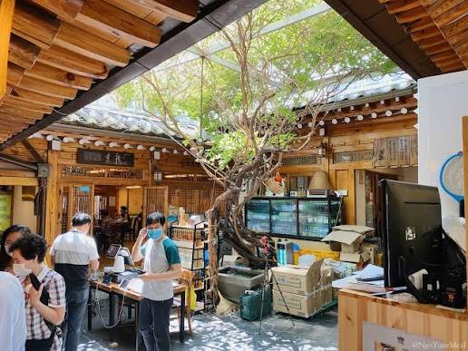 A bright cafe in a traditional wooden building, featuring a large tree growing through a central open-air courtyard.