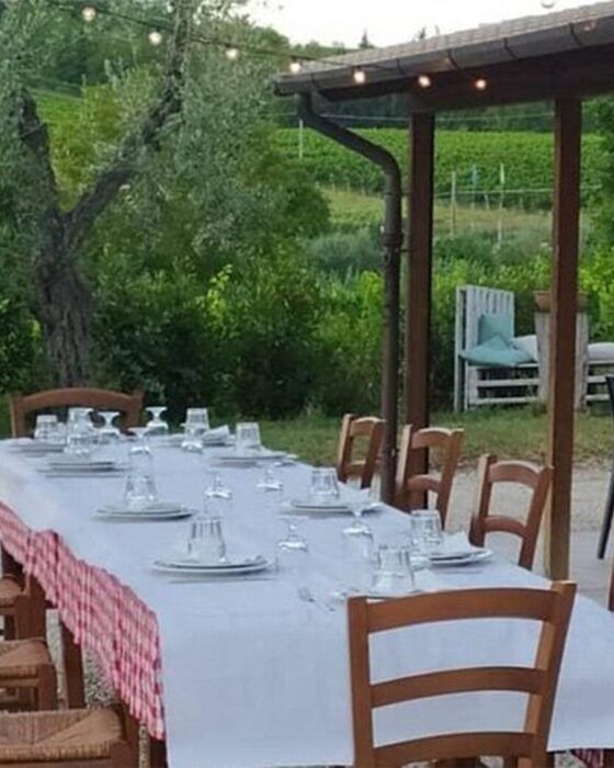 Outdoor dining table set with white dishes, glasses, and a red checkered runner, under string lights, with an olive tree and vineyard in the background.