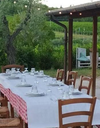 Outdoor dining table set with white dishes, glasses, and a red checkered runner, under string lights, with an olive tree and vineyard in the background.