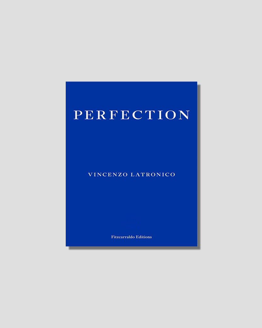 Perfection by Vincenzo Latronico, chosen by Semaine Tastemaker Ryan Gander 