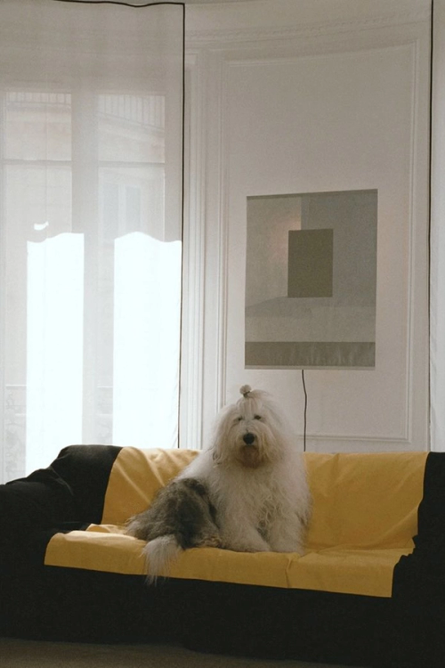 Ana Kras, Semaine Tastemaker