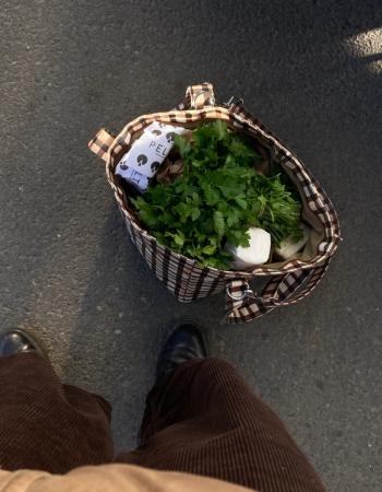 Feet in brown corduroy pants next to a plaid tote bag filled with parsley and groceries on pavement.