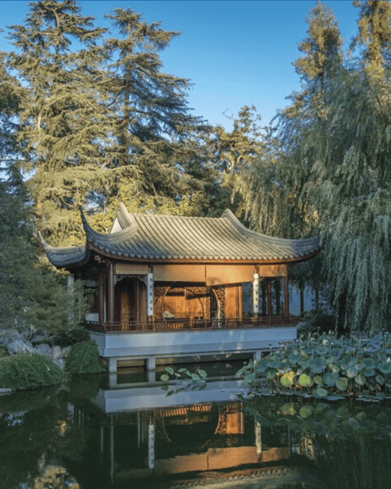 A traditional Chinese pavilion with a curved roof stands over a pond with lily pads, reflecting in the water and surrounded by trees.