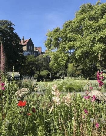 Chelsea Physic Garden, Chosen by Semaine Tastemaker Apollonia Poilâne