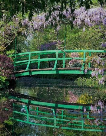 A green Japanese bridge over a pond surrounded by purple wisteria and lush foliage, with reflections in the water.