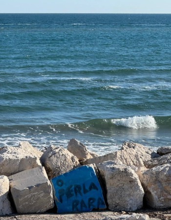 Ocean waves lap against a rocky shore, where a blue concrete block is painted with 'O PERLA RARA'.