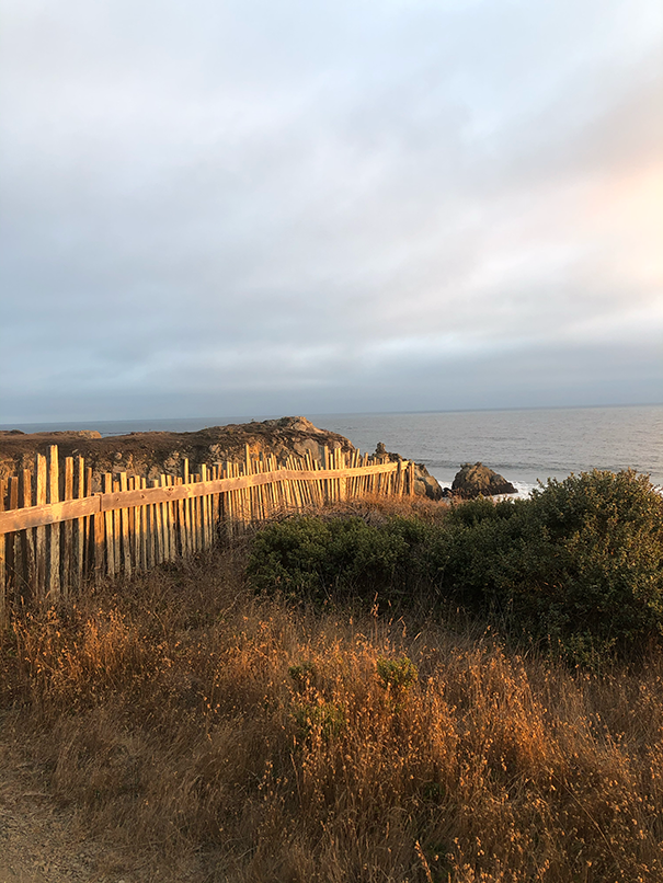 A wooden fence on a coastal cliff overlooks the ocean, with dry grass in the foreground and a cloudy sky touched by sunset light.