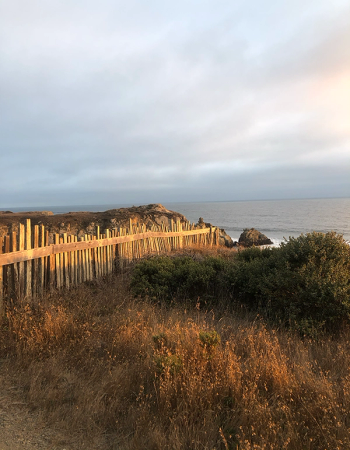 A wooden fence on a coastal cliff overlooks the ocean, with dry grass in the foreground and a cloudy sky touched by sunset light.
