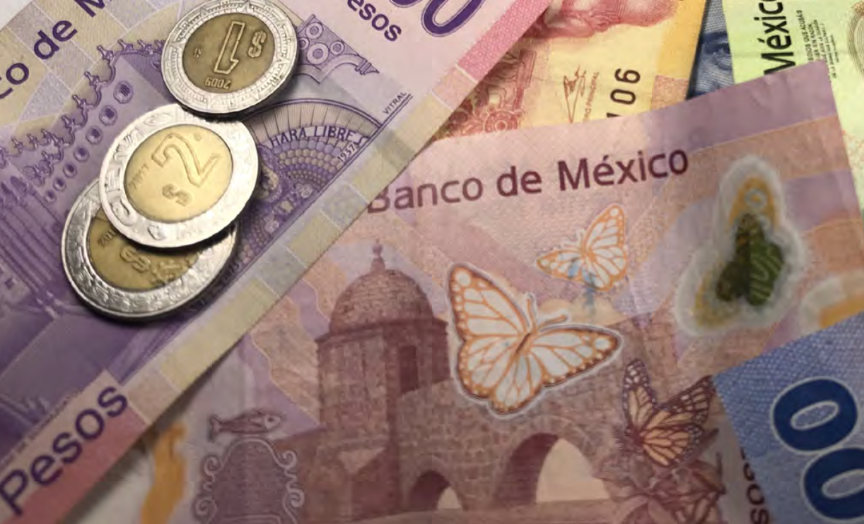 Making the Case: Mexico (2021)