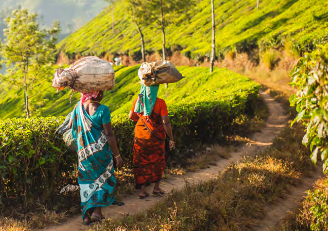 Making the Case: India - PMJDY (2022)