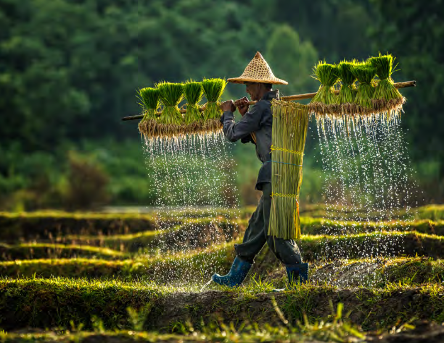 Making the Case: Southeast Asia (2021)