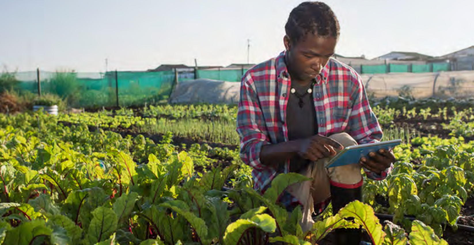 Making the Case: Sub-Sharan Africa (2021)