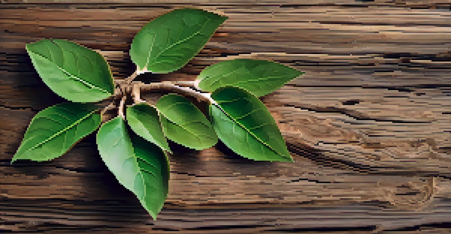 A close-up of ashwagandha roots and green leaves on a wooden surface, showcasing their texture and detail.