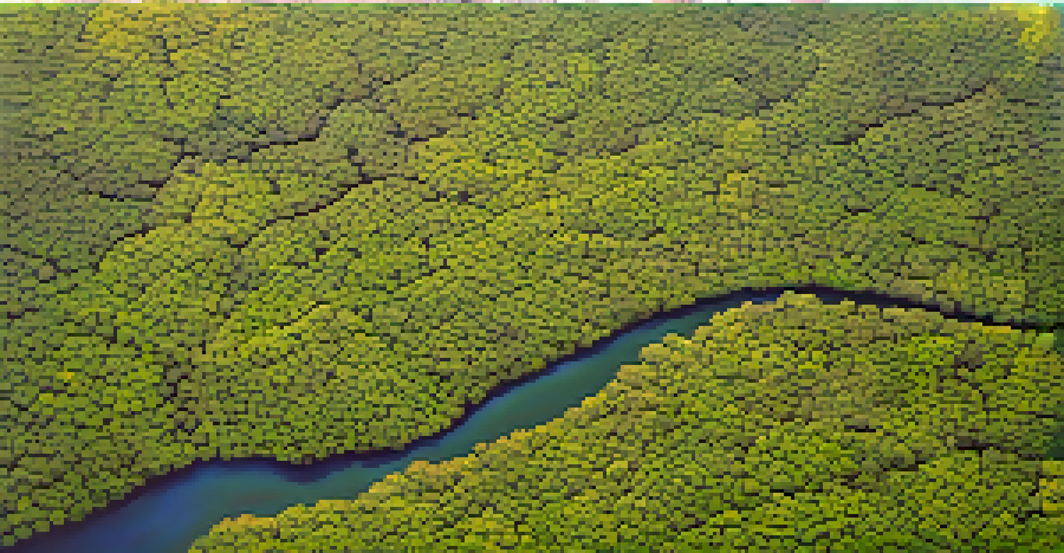 An aerial view of a Florida landscape with a drone surveying for invasive Brazilian pepper plants, showing vibrant greenery and patches of invasive growth.