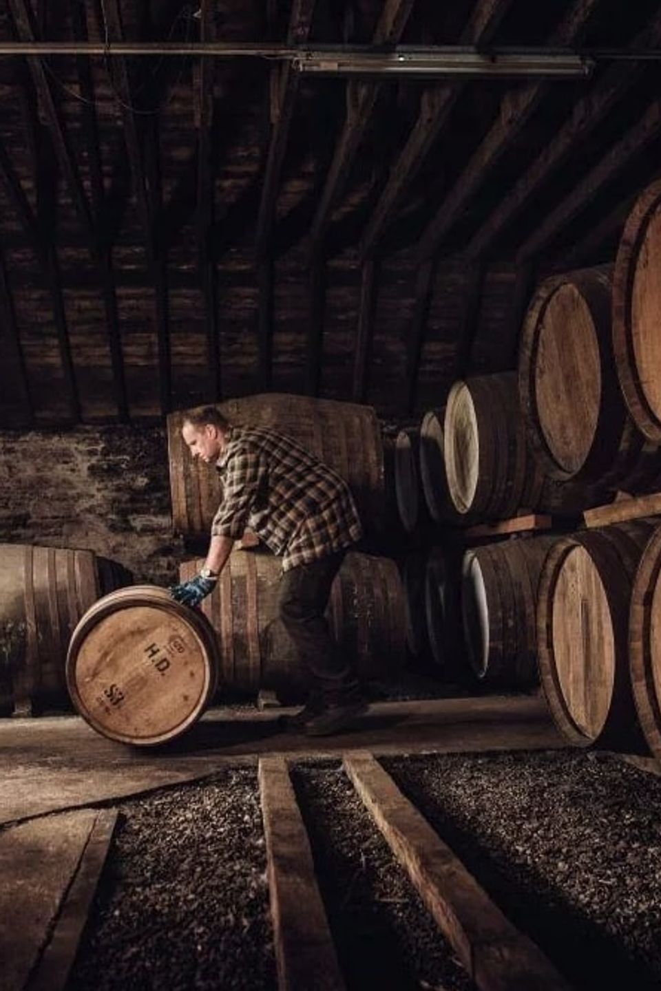 Os tipos de whisky e a diferença entre eles