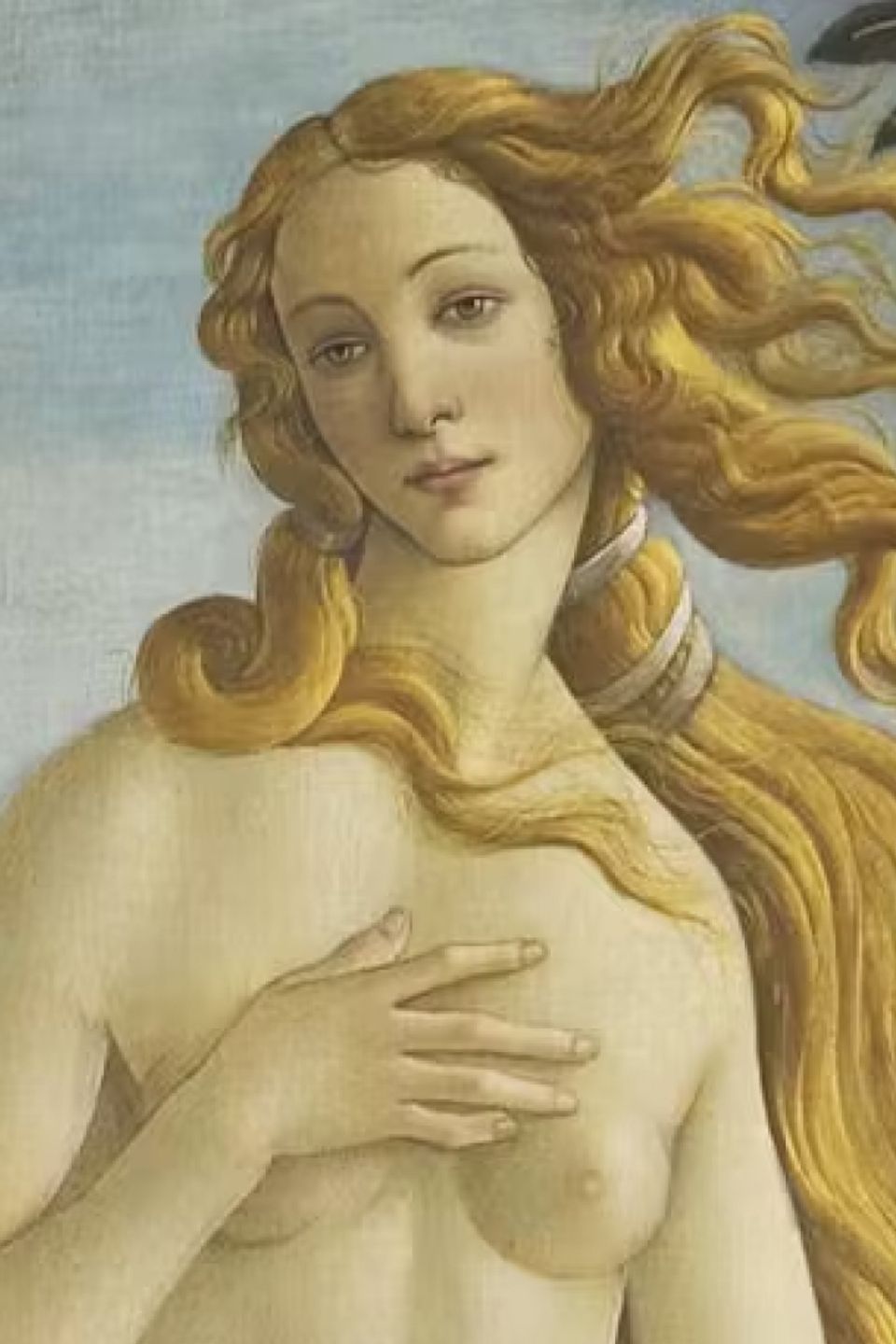 Birth of venus
