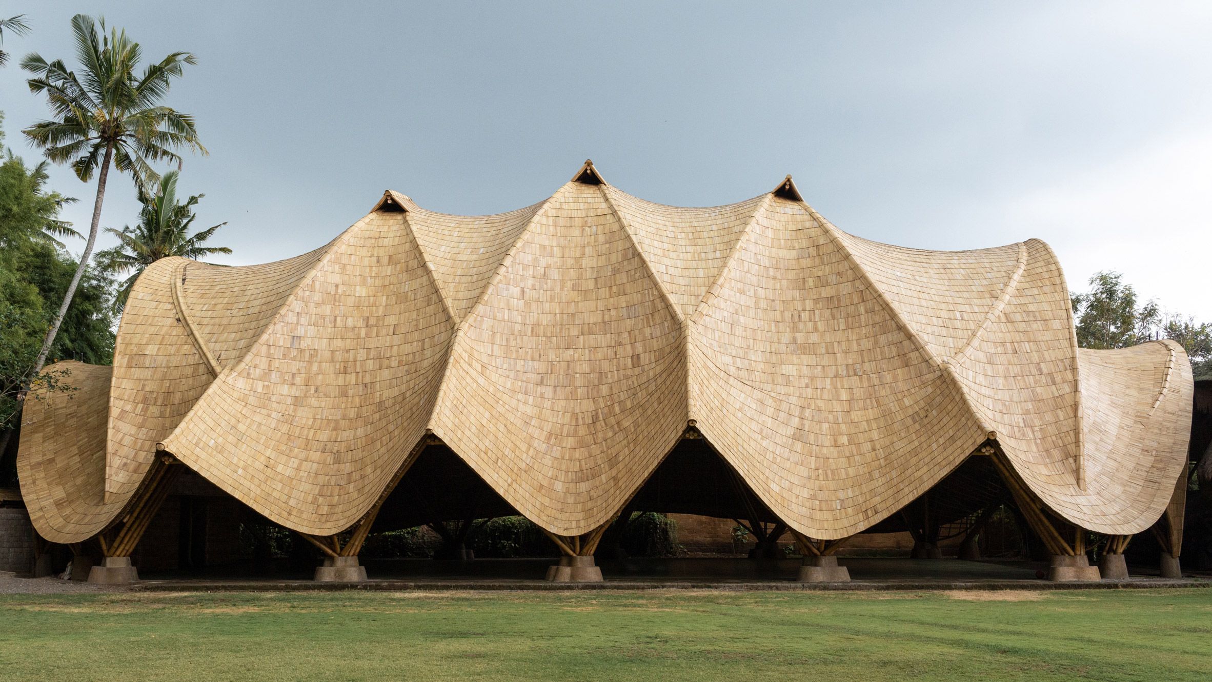 Bambu: o material que dobra, mas não quebra