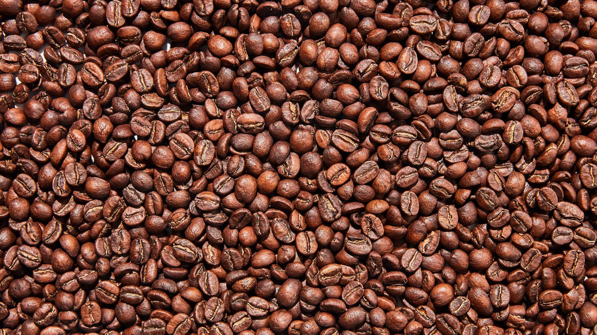 Café especial: mais barato do que você imagina