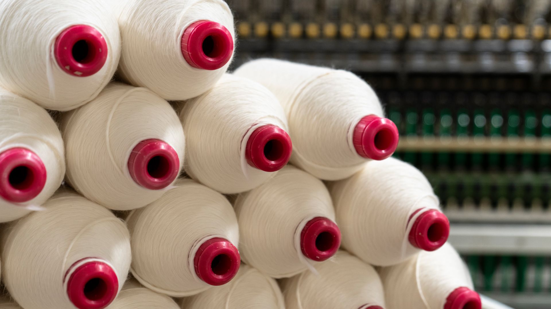 fábrica no peru de processamento, filamento e tecelagem do algodão pima