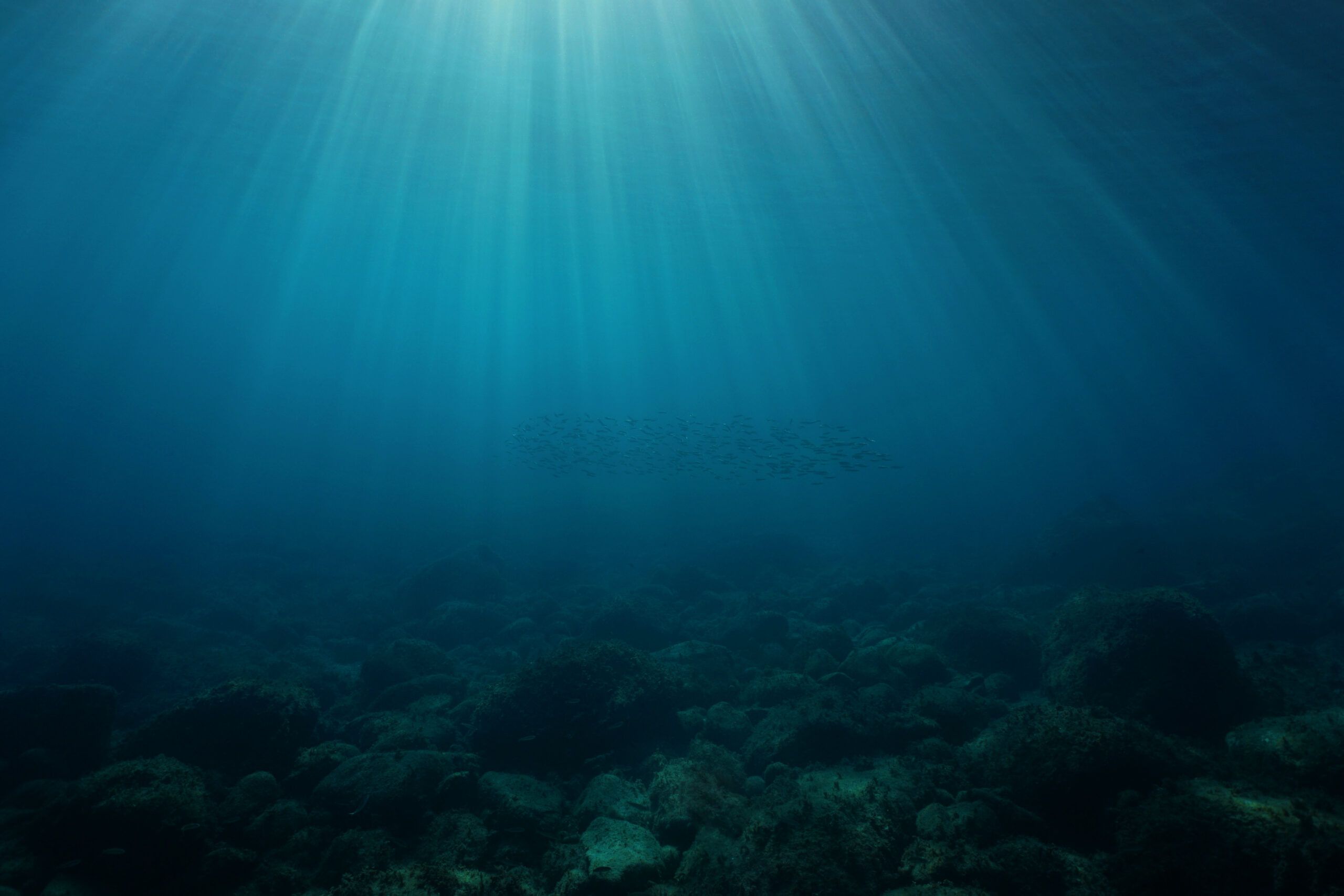 Murky waters: Are the dead zones in the Baltic sea really dead ...
