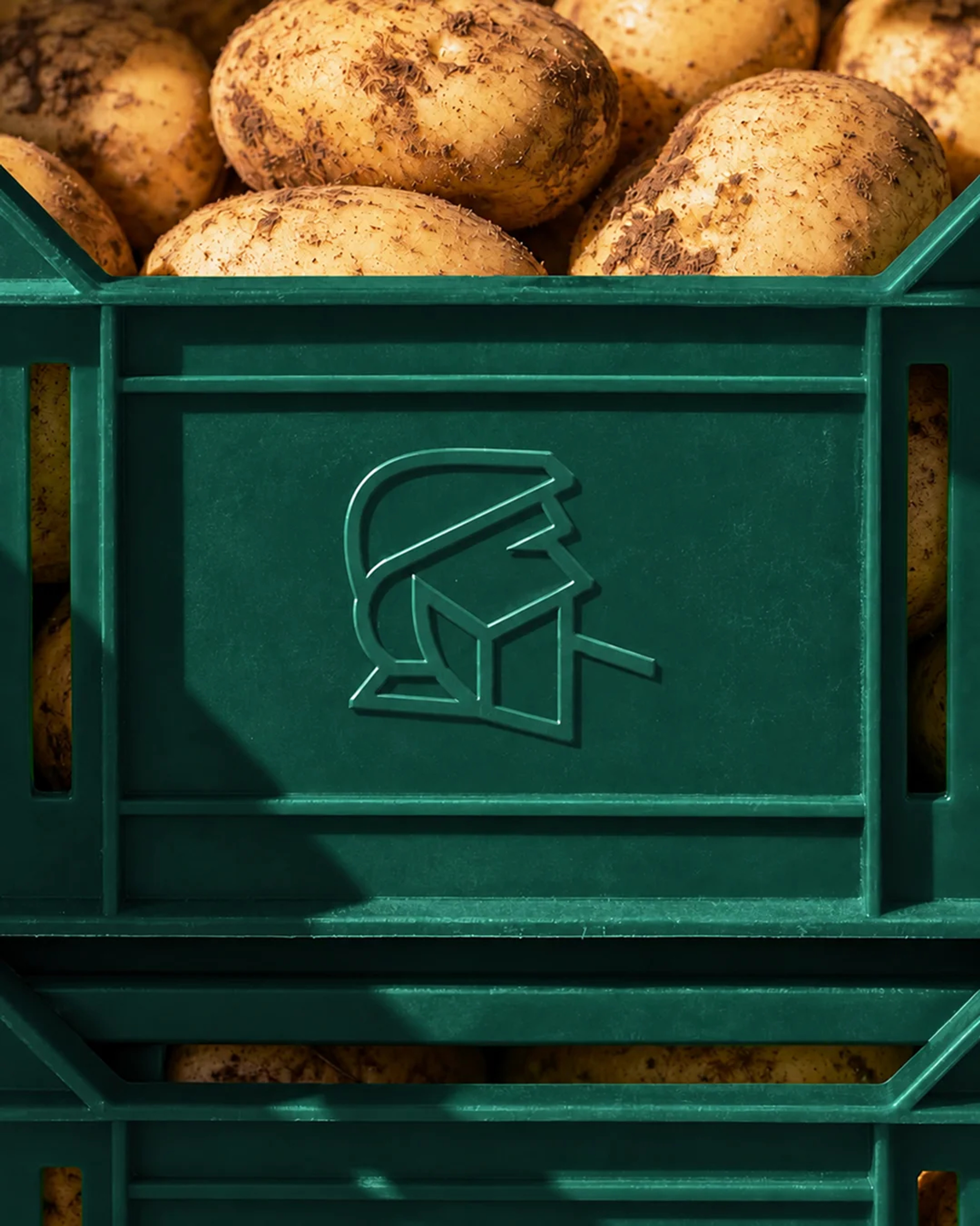 patate