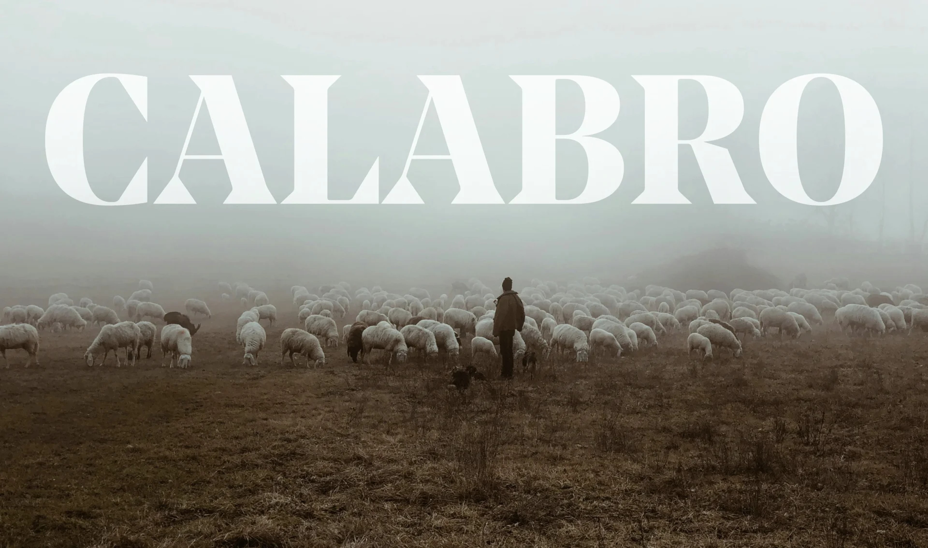 Calabro