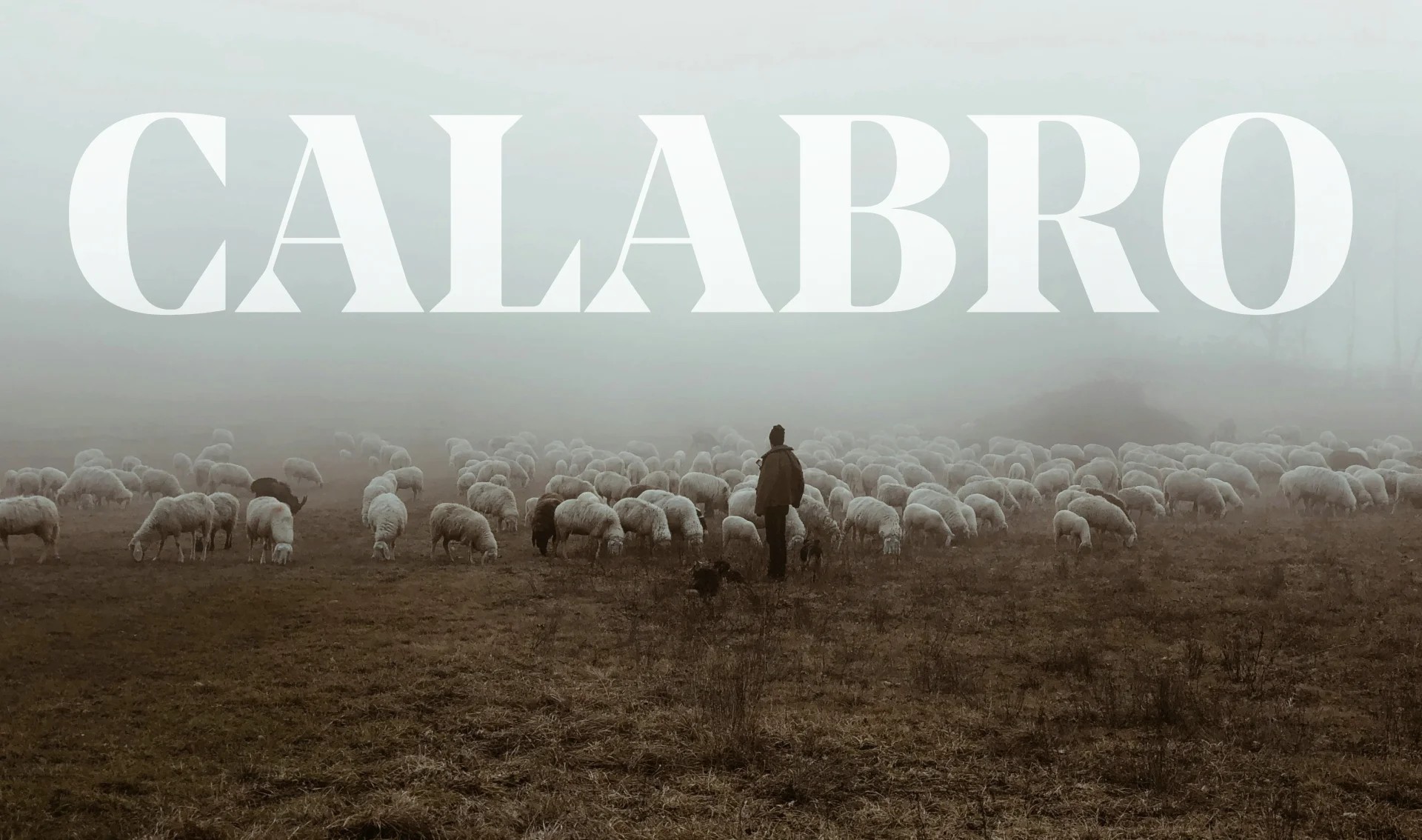 Calabro
