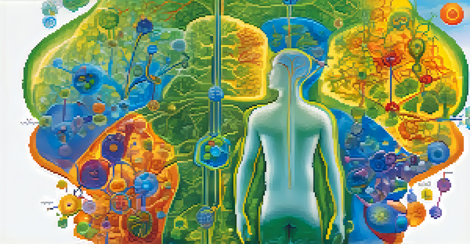 A colorful artistic diagram of the endocannabinoid system with receptors and neurotransmitter pathways, centered around a human silhouette.