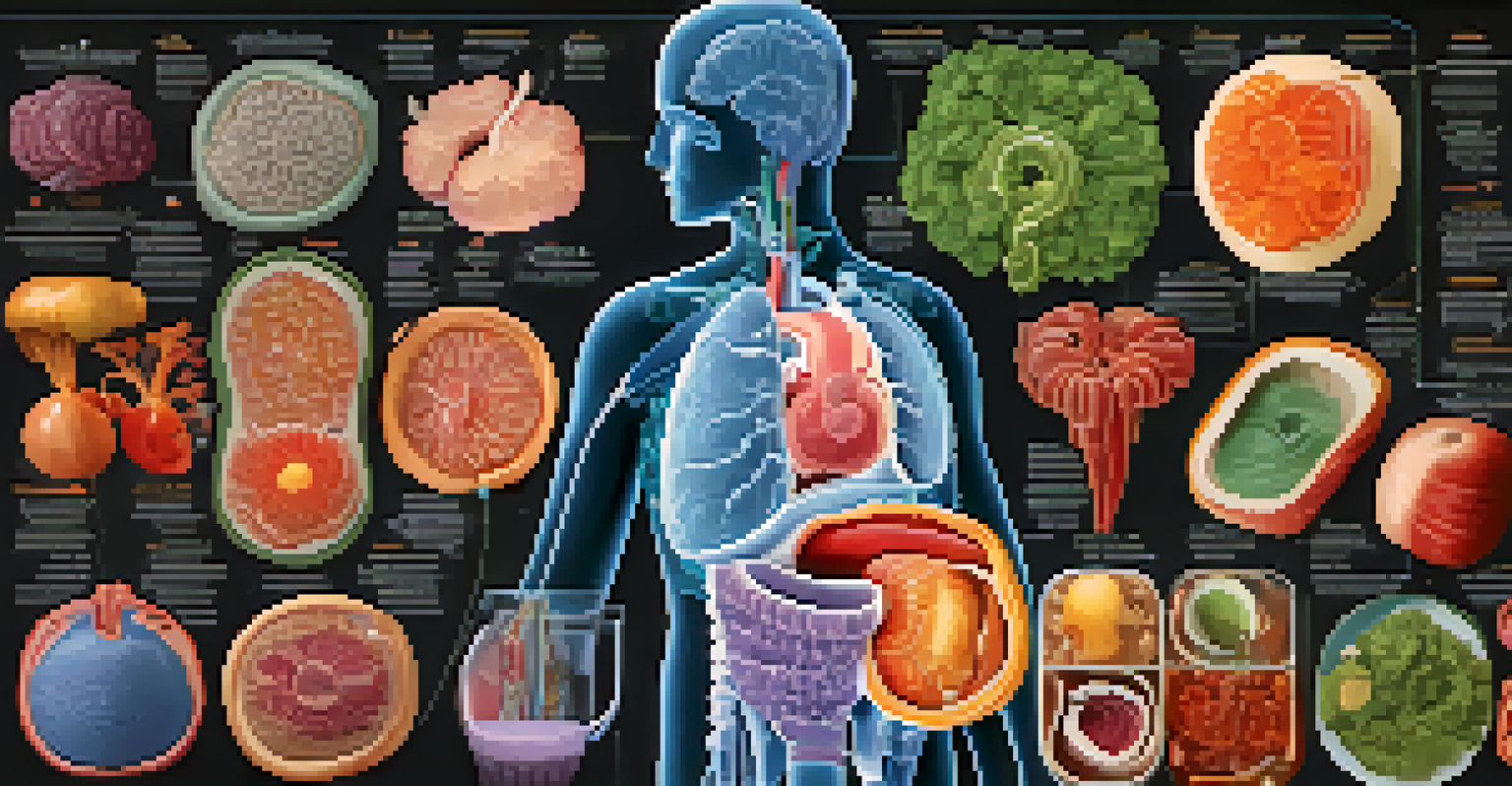 A colorful illustration of the human digestive system, showcasing organs and nutrient absorption pathways.