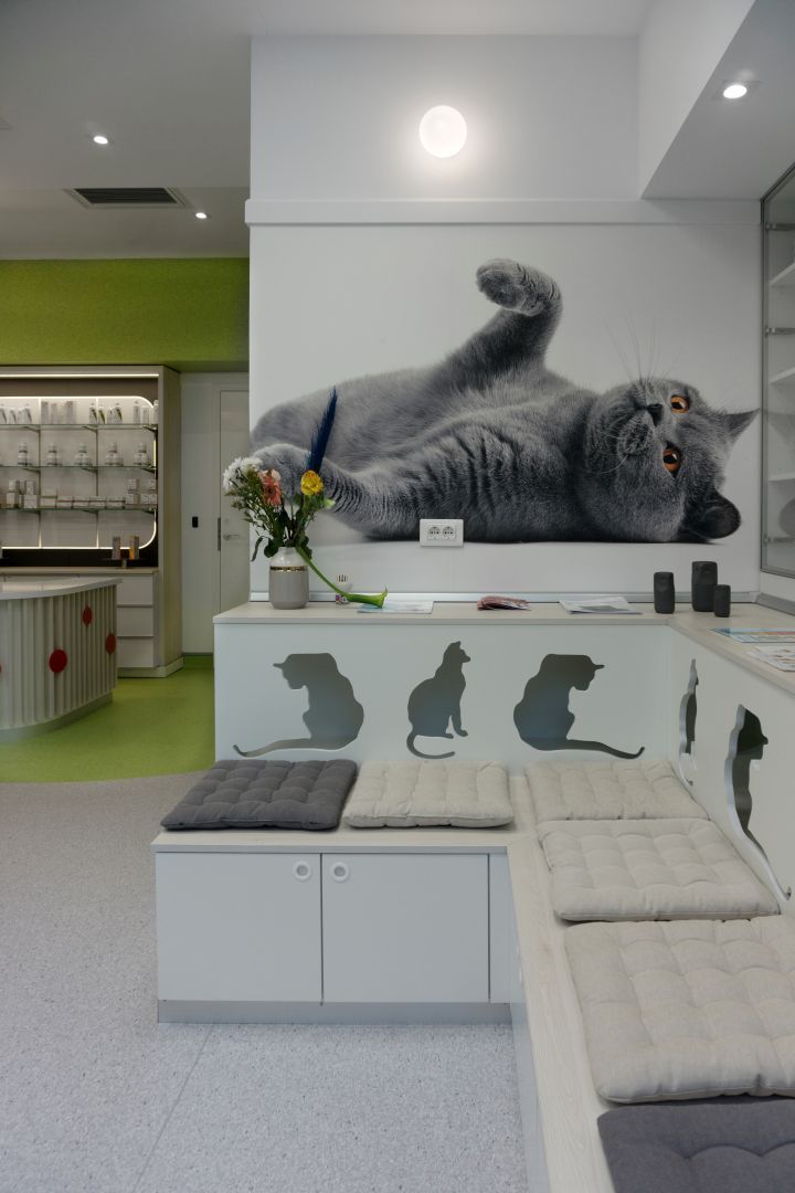 A&A Medical Vet