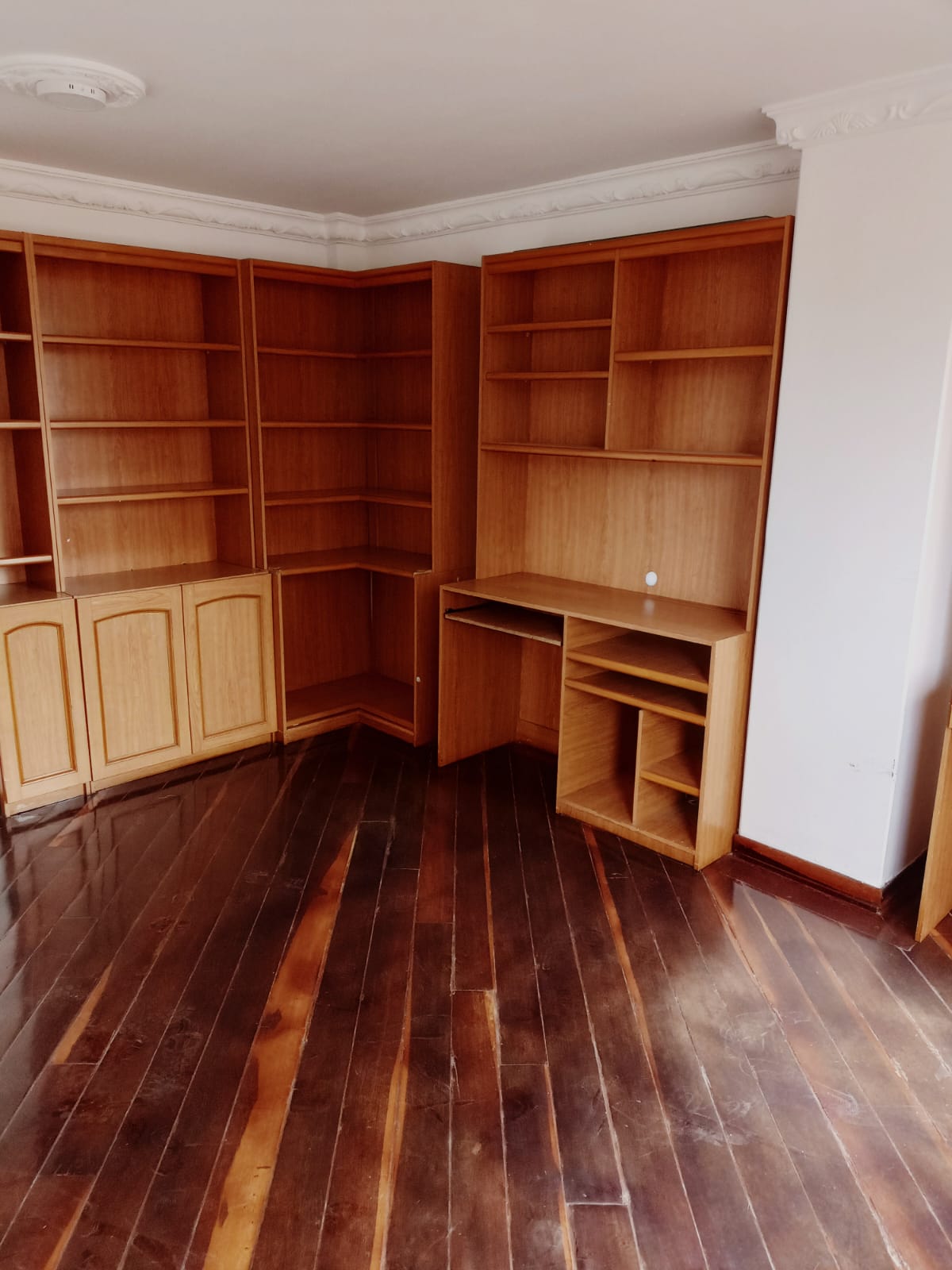 Estudio