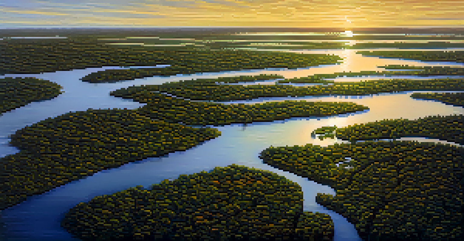 Aerial view of the Everglades showcasing lush wetlands and winding waterways, with a sunset illuminating the scene.