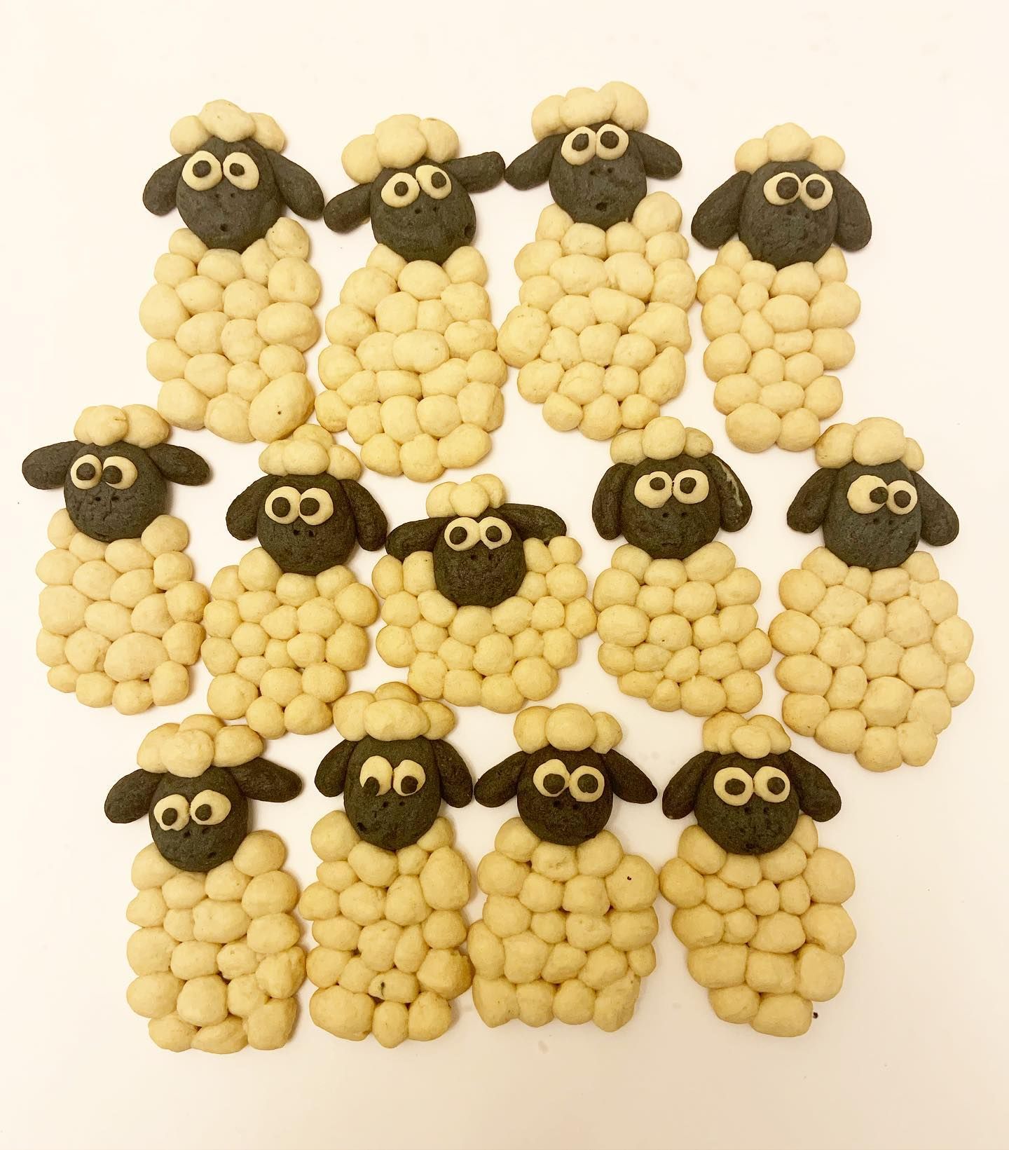 Sheepish