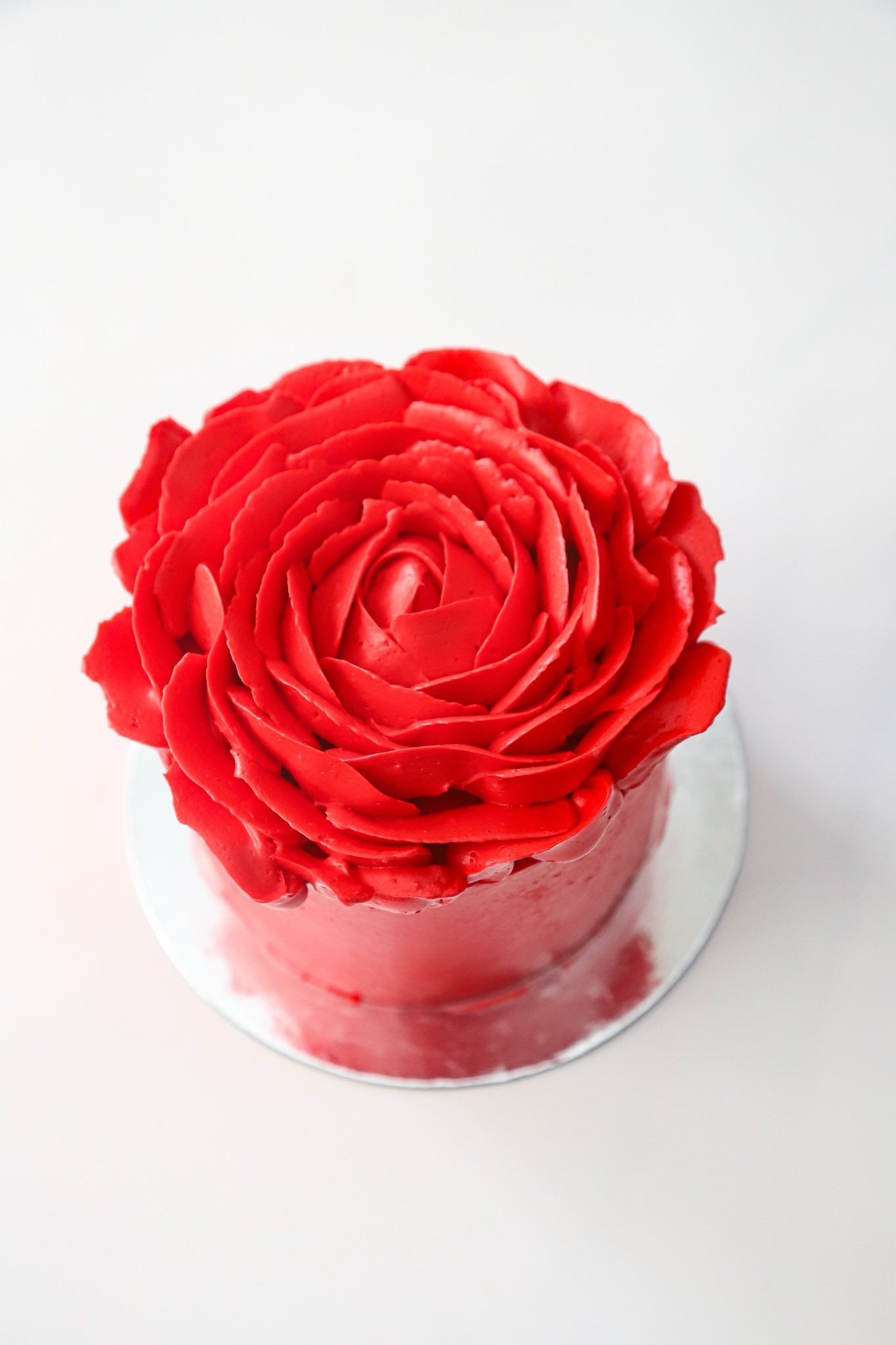 Crimson Rose