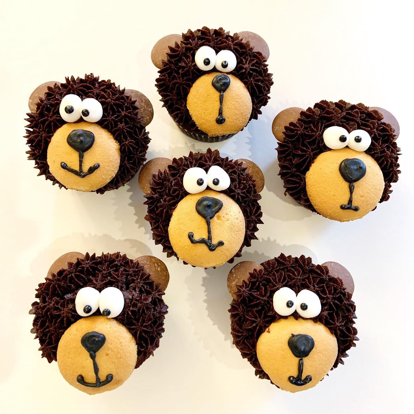 Bear-y Fun