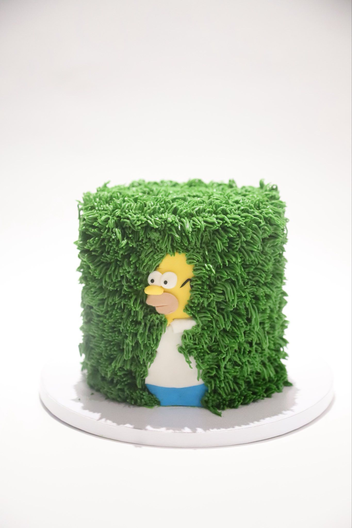Homer Hedge