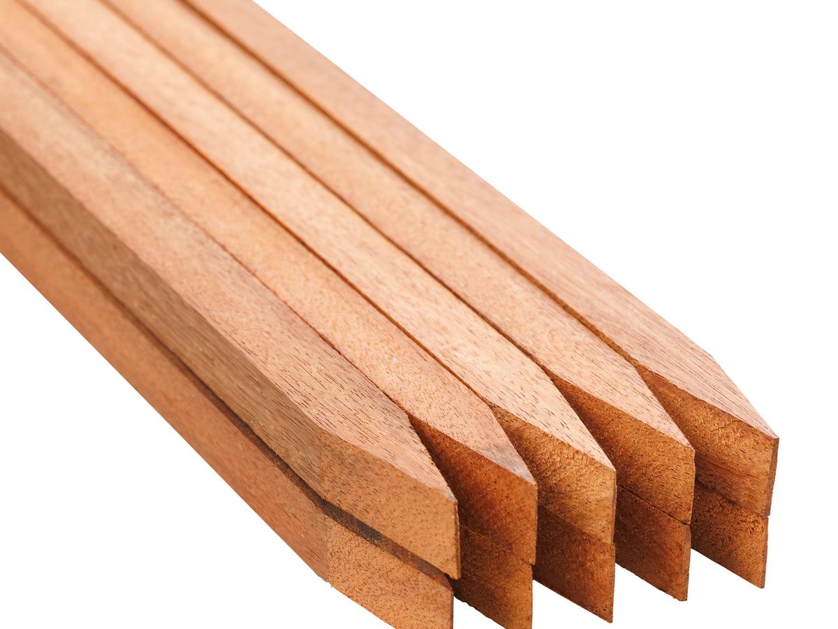 Timber Stakes